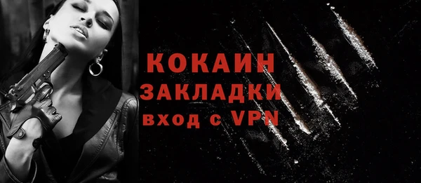 тгк Инта