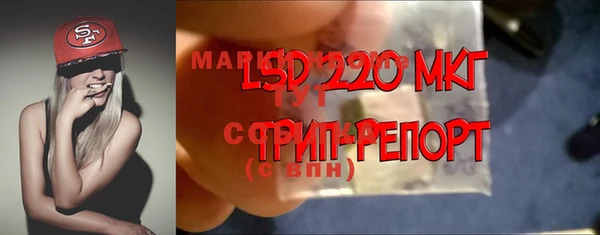 тгк Инта