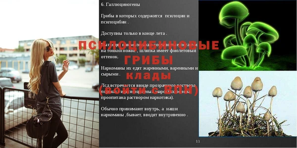 соль ск Иннополис