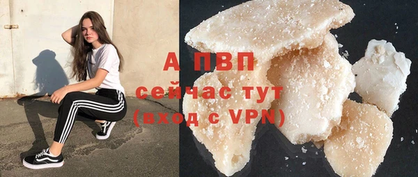 тгк Инта
