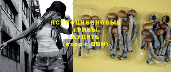соль ск Иннополис