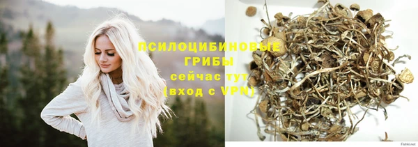 соль ск Иннополис